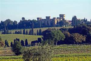 tourisme depuis avignon